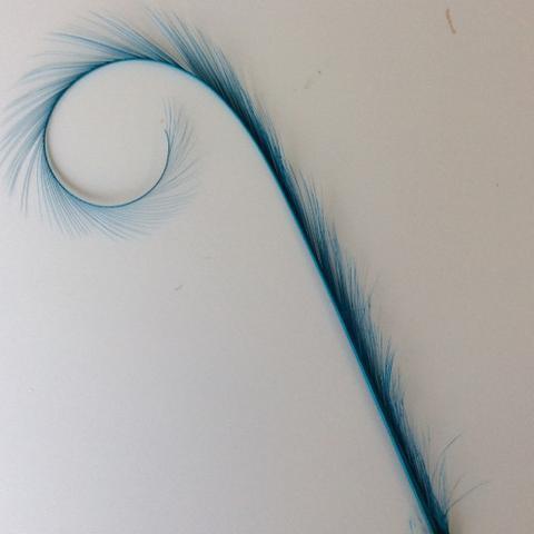Curly Burnt Pheasant Feathers - AU - B Unique Millinery