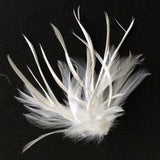 Dyed Feather Flower (F0024) - AU - B Unique Millinery