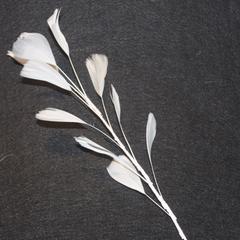 Feather Branch - AU - B Unique Millinery
