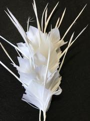 Feather Mounts (BY-FM306) - AU - B Unique Millinery