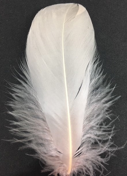 Goose Nagoire Feathers (loose) - US - B Unique Millinery