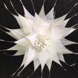 Spikey Feather Flower Minature (EF1099) - AU - B Unique Millinery