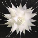 Spikey Feather Flower Minature (EF1099) white