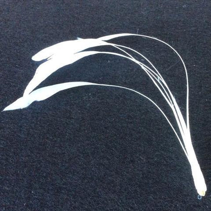 Coque Feathers - AU - B Unique Millinery
