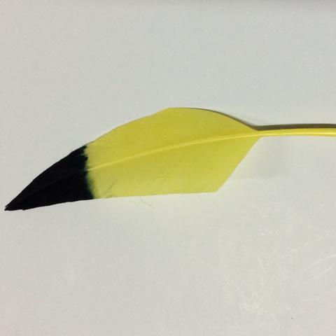 Two Tone Stiff Goose Feathers  - AU - B Unique Millinery