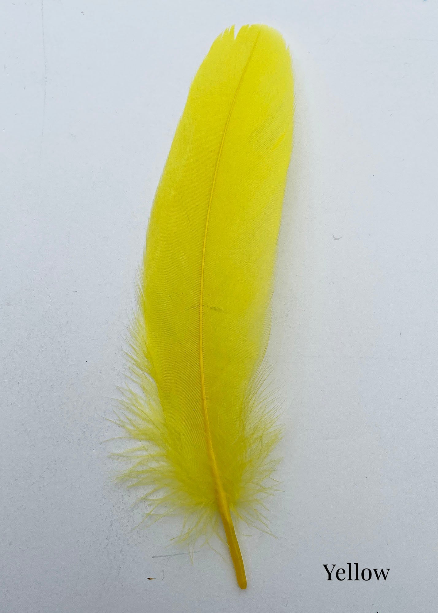 Goose Nagoire Feathers (loose) - US