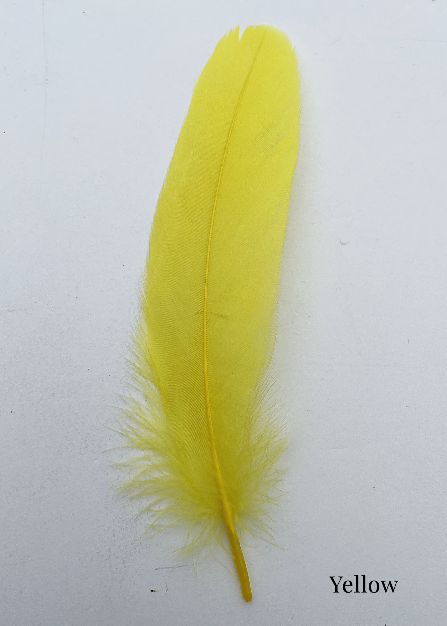 Goose Nagoire Feathers (loose) - UK