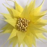 Spikey Feather Flower Minature (EF1099) yellow